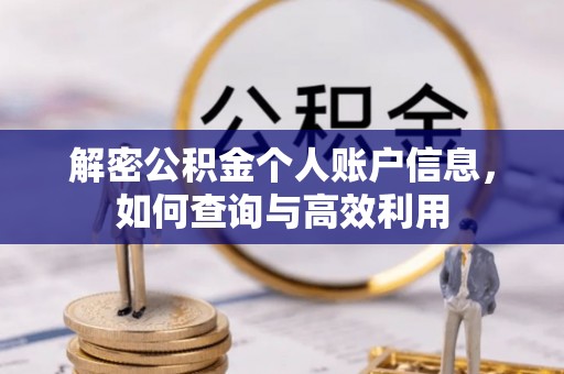 太和解密公积金个人账户信息，如何查询与高效利用