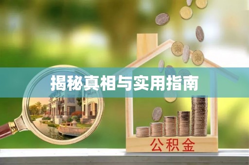 太和揭秘真相与实用指南