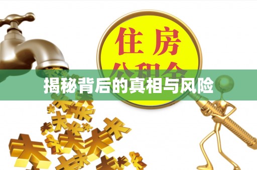 太和揭秘背后的真相与风险