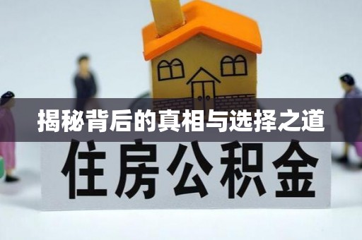 太和揭秘背后的真相与选择之道