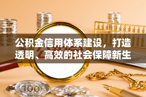 太和公积金信用体系建设，打造透明、高效的社会保障新生态