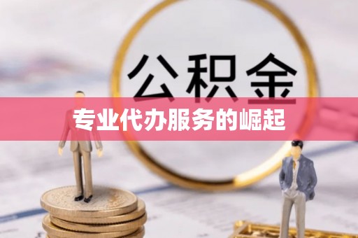 太和专业代办服务的崛起