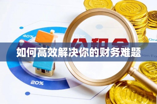 太和如何高效解决你的财务难题