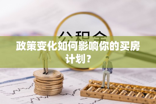 太和政策变化如何影响你的买房计划？