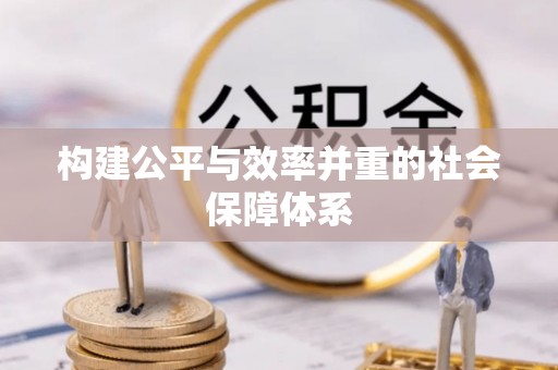 太和构建公平与效率并重的社会保障体系