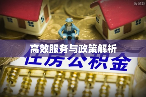 太和高效服务与政策解析