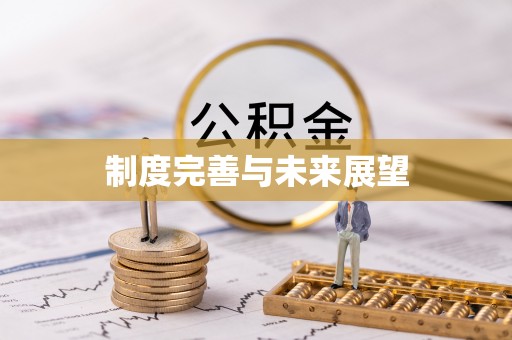 太和制度完善与未来展望