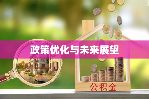 太和政策优化与未来展望