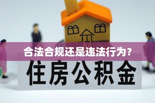 太和合法合规还是违法行为？