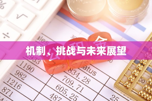 太和机制、挑战与未来展望